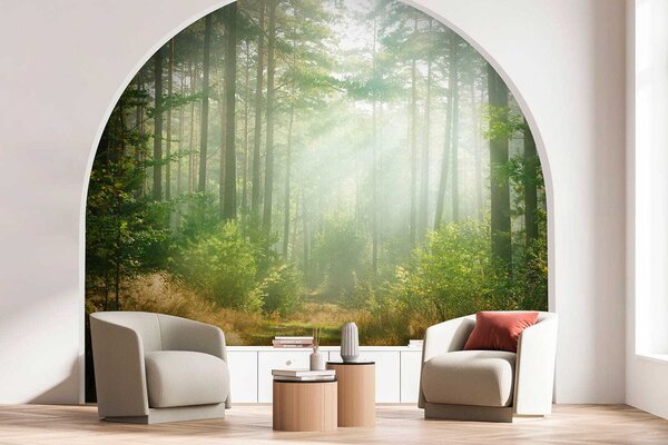 Fototapeta Cesta lesem se stromy a keři, Lesní fototapety, Populární fototapety, u56162 - Tapeko.co.cz