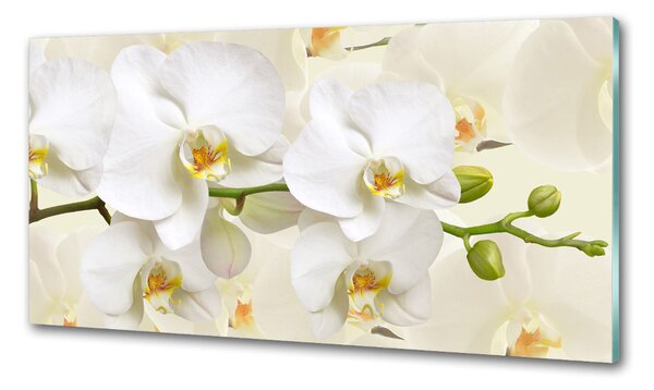 Skleněný panel do kuchynské linky Orchidej pksh-123330197