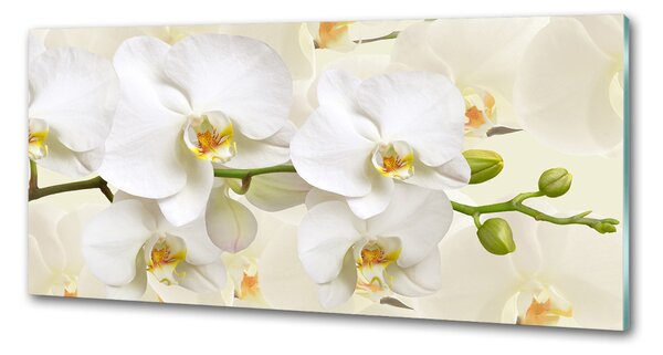 Skleněný panel do kuchynské linky Orchidej pksh-123330197