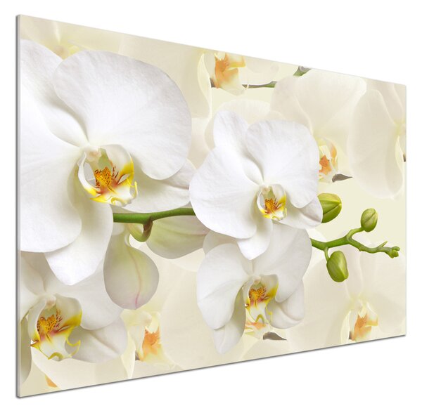 Skleněný panel do kuchynské linky Orchidej pksh-123330197