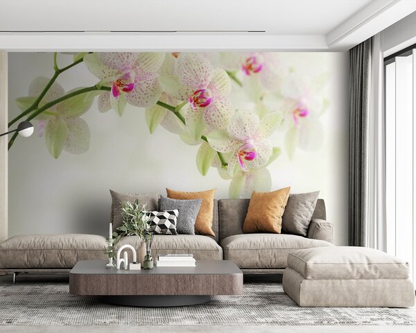 Fototapeta Jemné orchideje nad jemnou vodou, Květinové fototapety, Populární fototapety, u56335 - Tapeko.co.cz