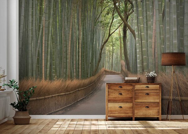 Fototapeta Cesta bambusovým lesem, Designové fototapety na zeď, Populární fototapety, u56406 - Tapeko.co.cz