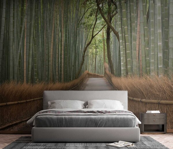 Fototapeta Cesta bambusovým lesem, Designové fototapety na zeď, Populární fototapety, u56406 - Tapeko.co.cz