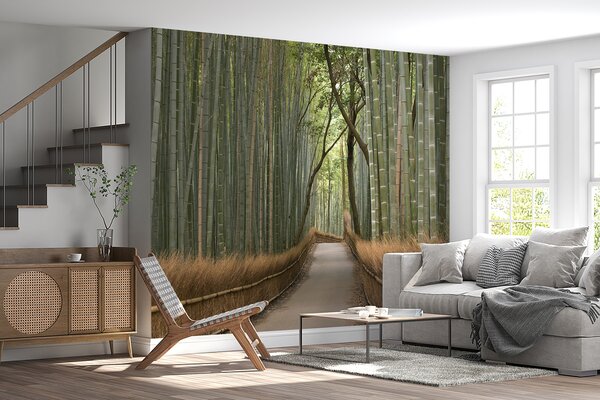 Fototapeta Cesta bambusovým lesem, Designové fototapety na zeď, Populární fototapety, u56406 - Tapeko.co.cz