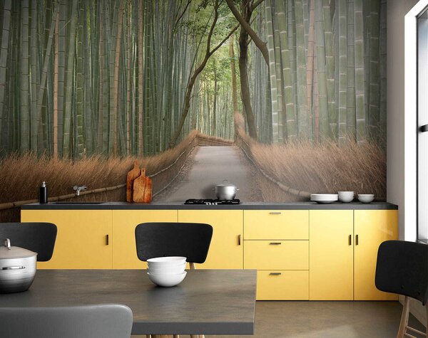 Fototapeta Cesta bambusovým lesem, Designové fototapety na zeď, Populární fototapety, u56406 - Tapeko.co.cz