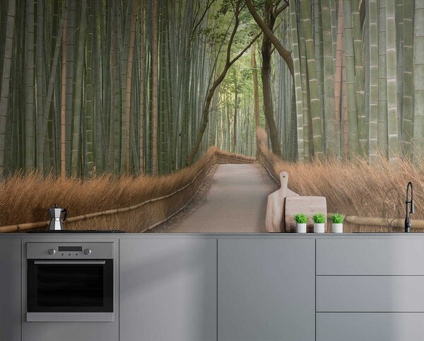 Fototapeta Cesta bambusovým lesem, Designové fototapety na zeď, Populární fototapety, u56406 - Tapeko.co.cz