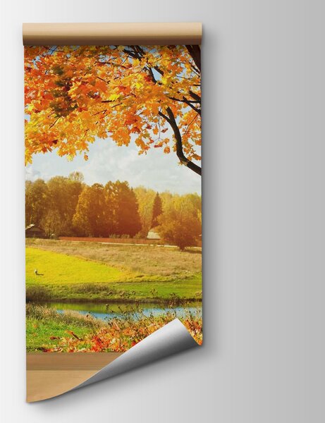 Fototapeta Okno se stromy a řekou, Přírodní fototapety, Populární fototapety, u56673 - Tapeko.co.cz