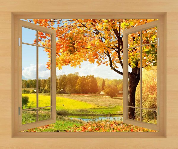 Fototapeta Okno se stromy a řekou, Přírodní fototapety, Populární fototapety, u56673 - Tapeko.co.cz
