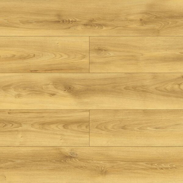 Modern Classic Premium Aqua Block 24h Dub Bora D40624