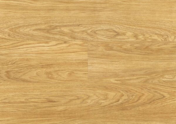 Modern Classic Premium Aqua Block 24h Dub Pasat D4581