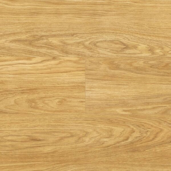 Modern Classic Premium Aqua Block 24h Dub Pasat D4581
