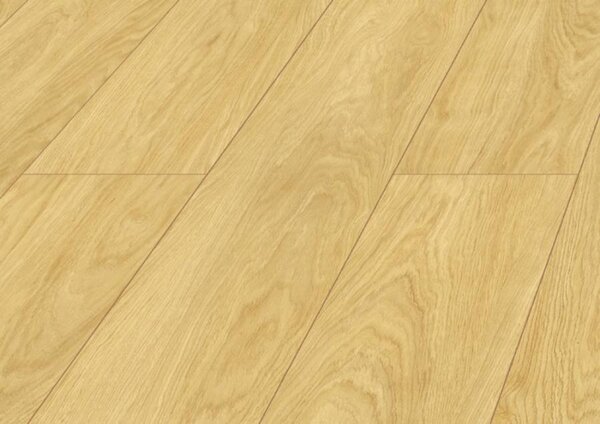 Modern Classic Premium Aqua Block 24h Dub Monsun D4588