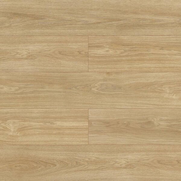 Modern Classic Premium Aqua Block 24h Dub Mistral D4531