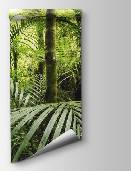 Fototapeta Zelený les s palmami, Fototapety s džunglí, Populární fototapety, u56916 - Tapeko.co.cz
