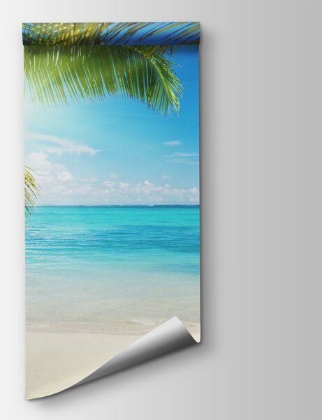 Fototapeta Palmy na pláži, Mořské fototapety, Populární fototapety, u57179 - Tapeko.co.cz