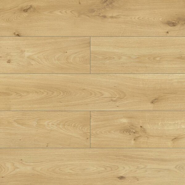 Modern Classic Design Dub Art D4557