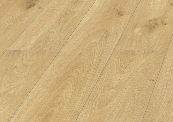 Modern Classic Design Dub Art D4557
