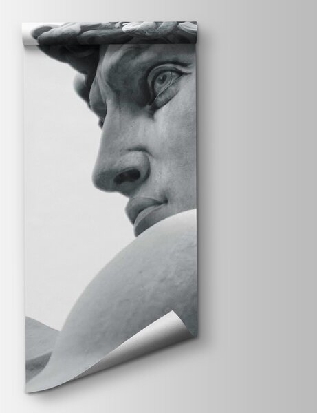 Fototapeta Socha muže, Designové fototapety na zeď, Populární fototapety, u57196 - Tapeko.co.cz