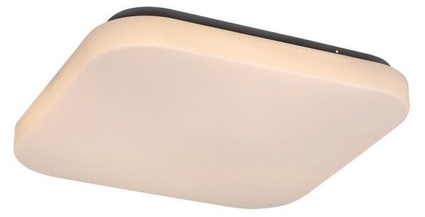 Rabalux 3340 - LED Stropní svítidlo ROB LED/20W/230V