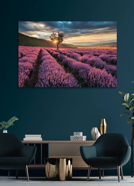 Fototapeta Strom v levandulovém poli, Přírodní fototapety, Populární fototapety, u57229 - Tapeko.co.cz