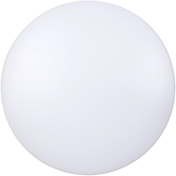 Rabalux 3338 - LED Stropní svítidlo ROB LED/20W/230V
