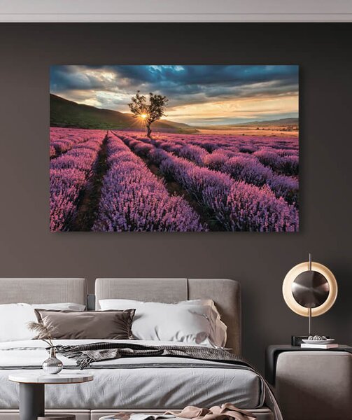 Fototapeta Strom v levandulovém poli, Přírodní fototapety, Populární fototapety, u57229 - Tapeko.co.cz
