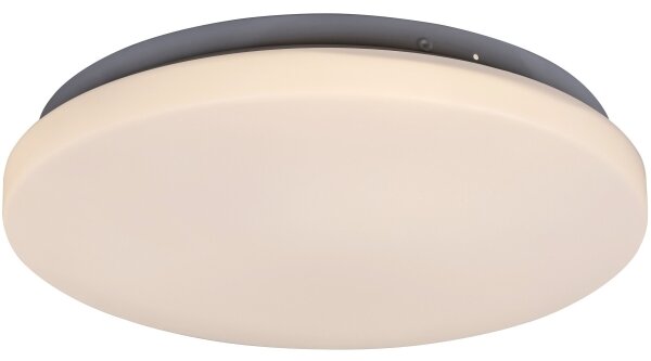 Rabalux 3338 - LED Stropní svítidlo ROB LED/20W/230V