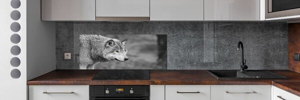 Dekorační panel sklo Šedý vlk pksh-125421387