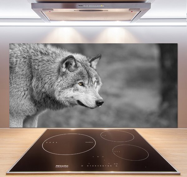 Dekorační panel sklo Šedý vlk pksh-125421387