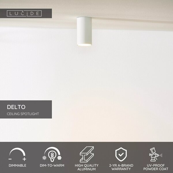 Lucide 09915/06/31 - LED Stmívatelné bodové svítidlo DELTO 1xGU10/5W/230V bílá
