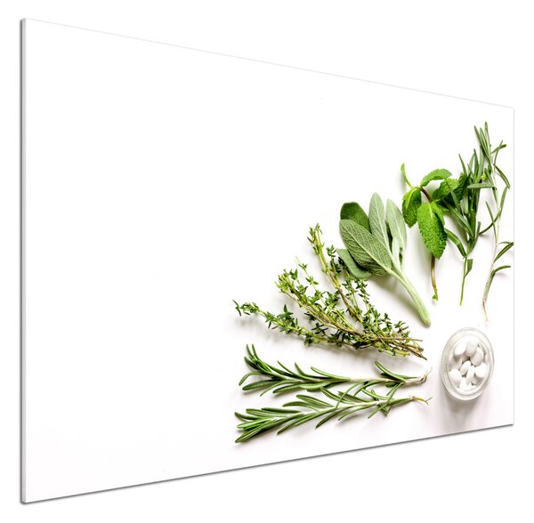 Skleněný panel do kuchyně Byliny pksh-125344831