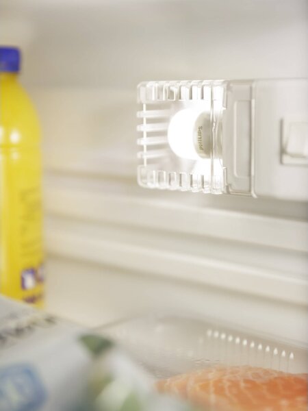 LED žárovka do lednice Philips E14/3,2W/230V 2700K