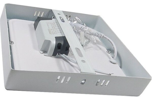 LED Stropní svítidlo LED/12W/230V 6000K