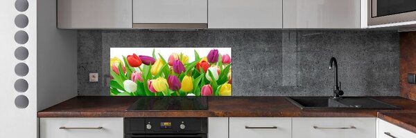 Panel do kuchyně Barevné tulipány pksh-12652067