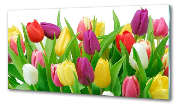 Panel do kuchyně Barevné tulipány pksh-12652067