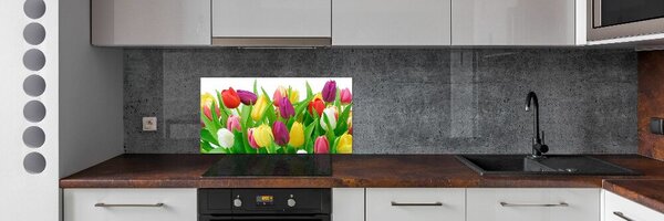 Panel do kuchyně Barevné tulipány pksh-12652067