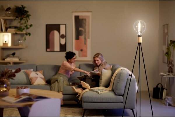 LED Stmívatelná žárovka Philips E27/6,5W/230V 3000K