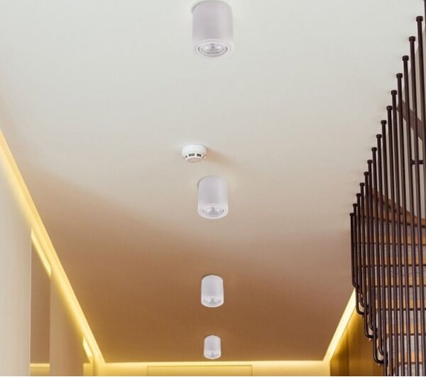 LED Bodové svítidlo TUBA 1xGU10/5W/230V 4000K bílá