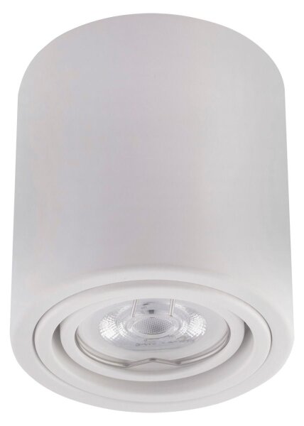 LED Bodové svítidlo TUBA 1xGU10/5W/230V 4000K bílá