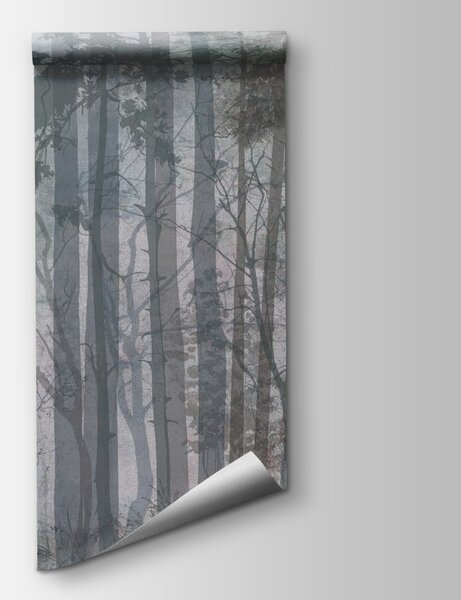Fototapeta Skupina stromů v lese, Lesní fototapety, Populární fototapety, u60063 - Tapeko.co.cz