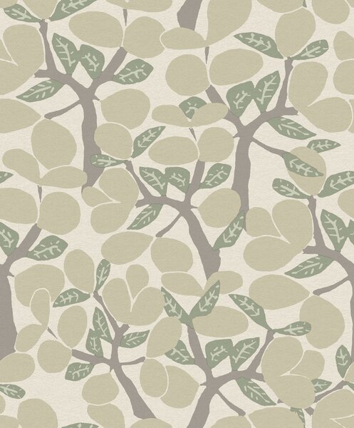 Béžová vliesová tapeta na zeď, větvičky, stromy, BA26050, Brazil, Decoprint