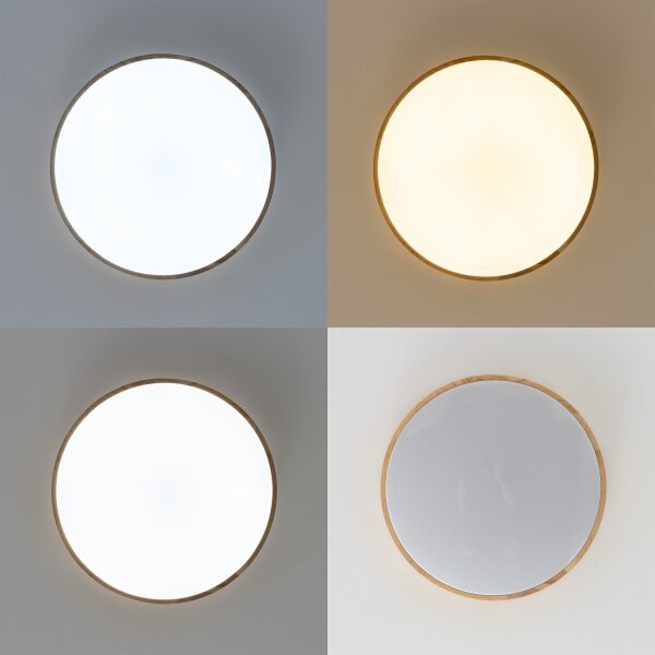 Brilagi - LED Stmívatelné stropní svítidlo PINE LED/60W/230V + dálkové ovládání