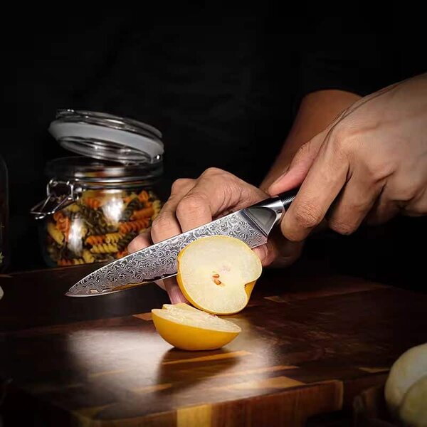 Víceúčelový nůž z damaškové oceli SaKuRo G10 12,7 cm