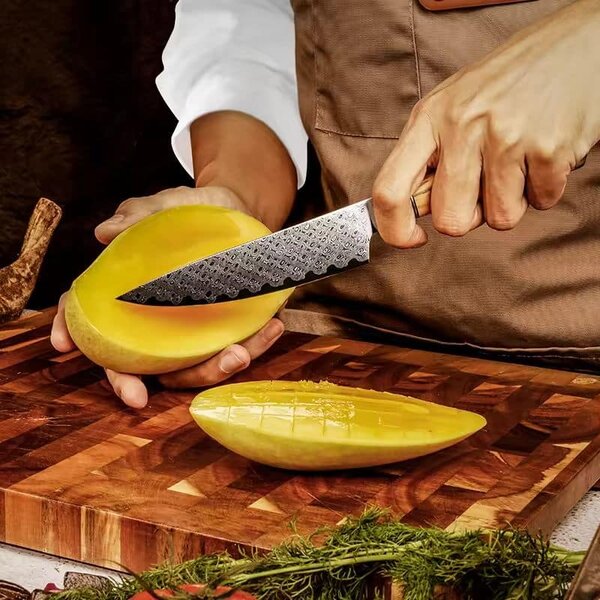Víceučelový nůž z damaškové oceli SaKuRo Olive 12,7 cm