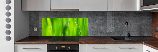 Dekorační panel sklo Mladý oves pksh-132303830