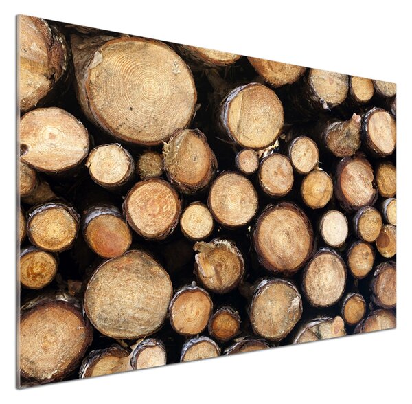 Dekorační panel sklo Klády dříví pksh-132747240