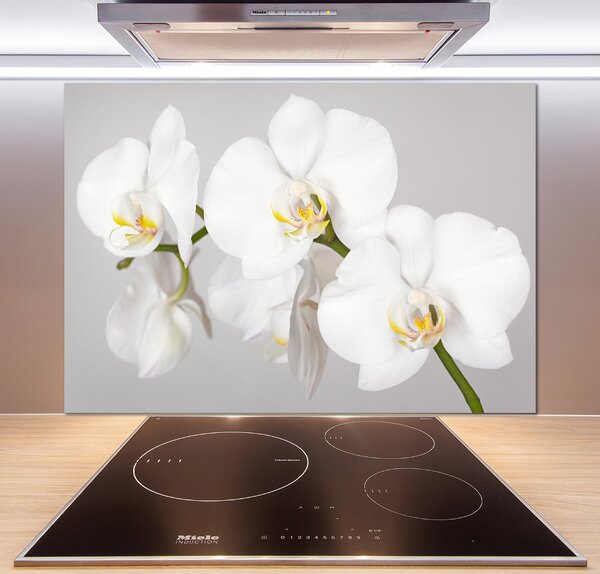 Skleněný panel do kuchynské linky Orchidej pksh-133396361