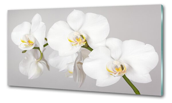 Skleněný panel do kuchynské linky Orchidej pksh-133396361