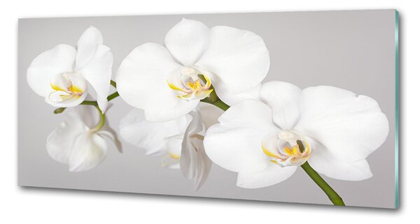 Skleněný panel do kuchynské linky Orchidej pksh-133396361