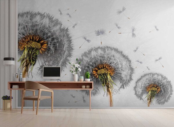 Fototapeta Pampelišky se rozptylují ve větru, Designové fototapety na zeď, Populární fototapety, u61442 - Tapeko.co.cz